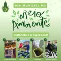 Hoje celebra-se o Dia Mundial do Meio Ambiente!