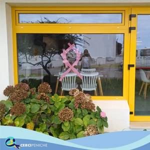 Foto de um laço rosa referente ao outubro rosa. Sensibilizar a prevenção do cancro. Criado por pessoas apoiadas da Cercipeniche. Com elementos gráficos e logo.