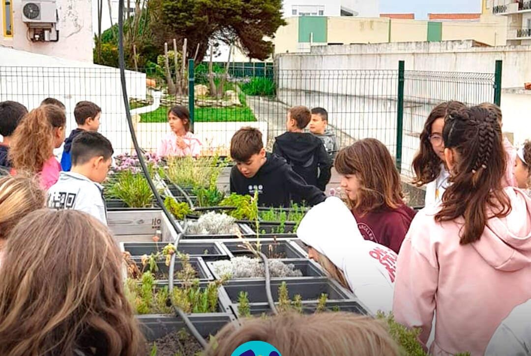 Durante a visita à horta, as crianças observam as diferentes plantas e descobrem um pouco mais sobre o seu cultivo e cuidado. Logo da Cercipeniche.