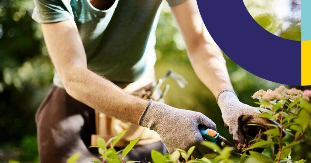 Curso Operador/a de Jardinagem