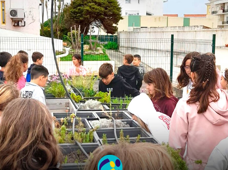 Durante a visita à horta, as crianças observam as diferentes plantas e descobrem um pouco mais sobre o seu cultivo e cuidado. Logo da Cercipeniche.
